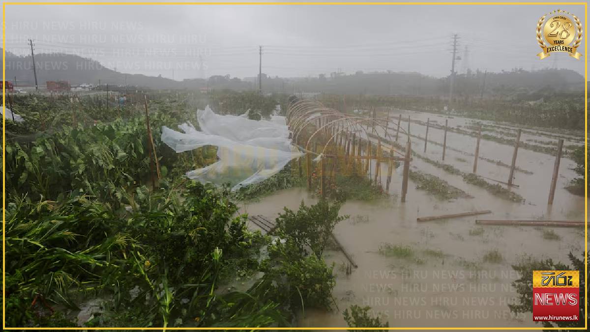 Typhoon Bavi batters eastern China