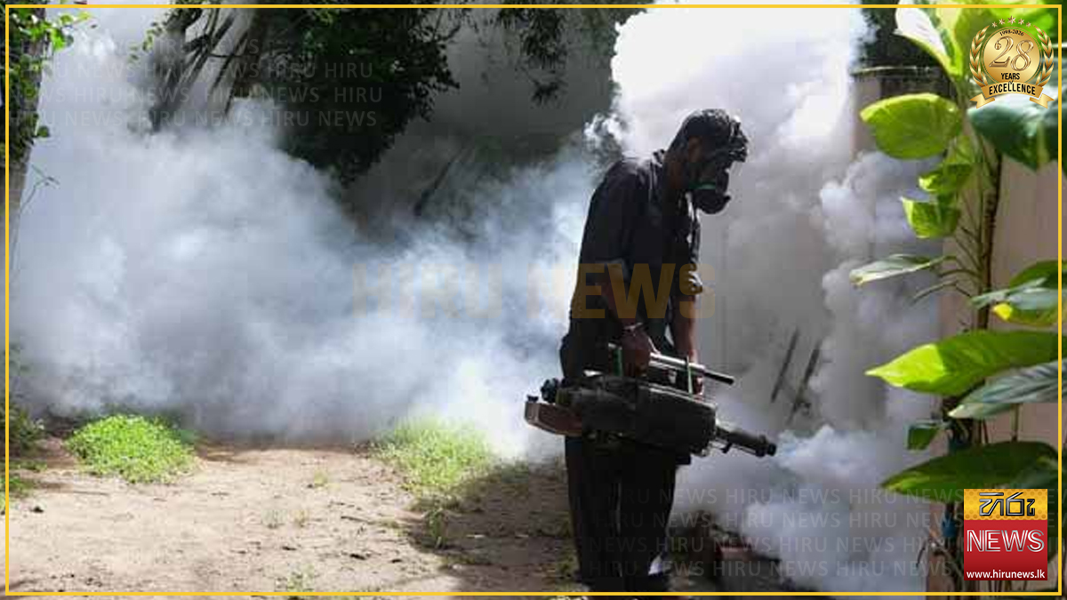 ඩෙංගු අධිඅවදානම් කලාප 60ක මදුරු මර්දන මෙහෙයුමක්