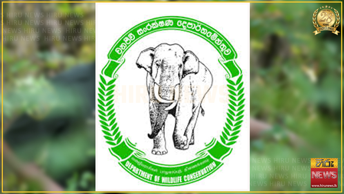වනජීවි නිලධාරීහු අසනීප නිවාඩු වාර්තා කරති