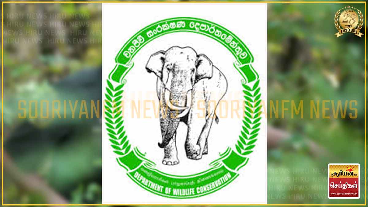 வனஜீவராசிகள் திணைக்களத்தின் அனைத்து தொழிற்சங்கங்களும் இணைந்து சுகயீன விடுமுறைப் போராட்டம்