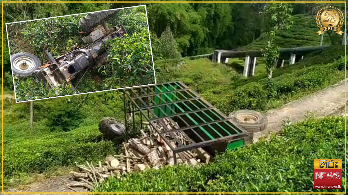දර ප්‍රවාහනය කළ ට්‍රැක්ටරයක් තේ වත්තකට පෙරළෙයි: රියැදුරු රෝහලේ