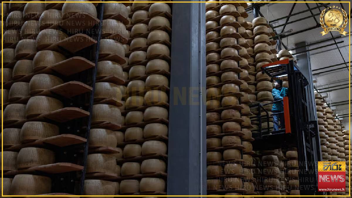 Extreme heat threatens Italy's Parmesan heartland