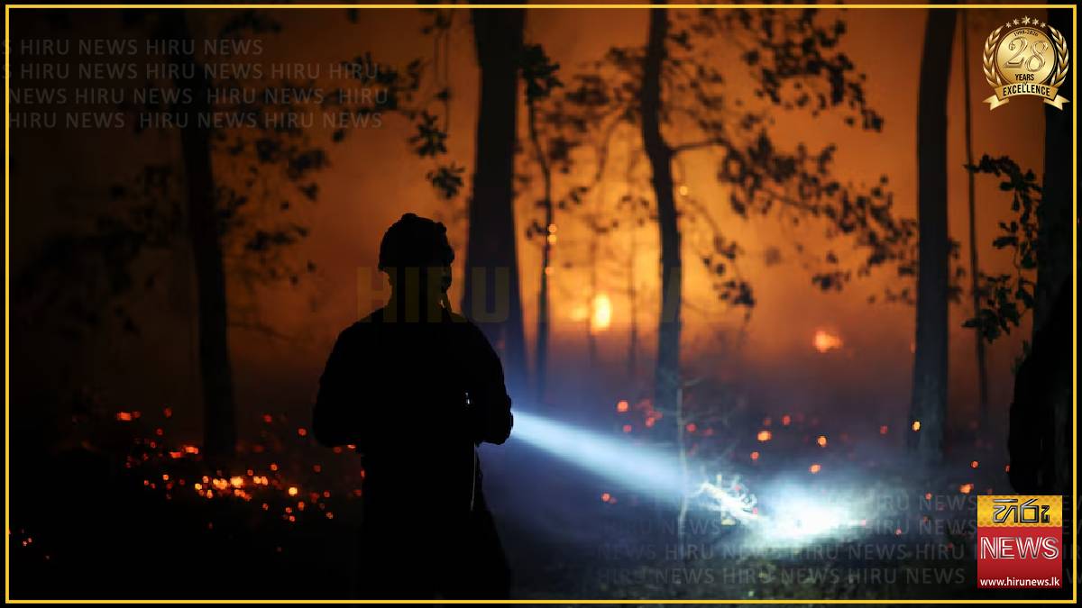 Two arrested following Fontainebleau forest fires