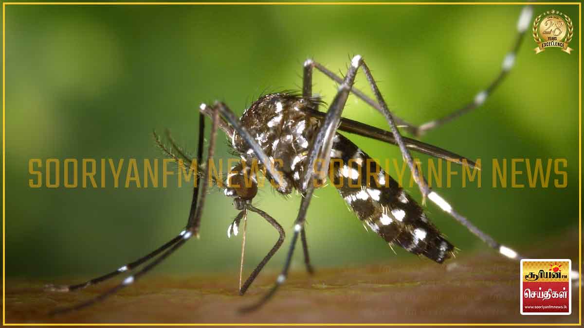 கடந்த 13 நாட்களில் 14,572 டெங்கு நோயாளர்கள் பதிவு