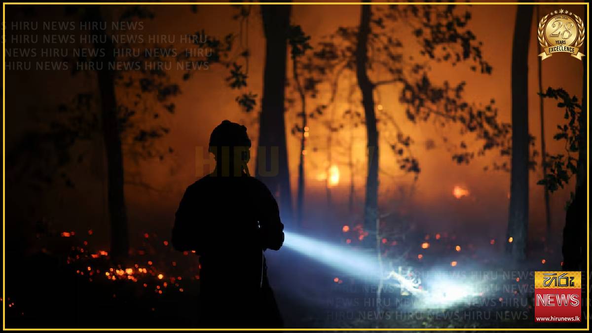 Firefighters battle Fontainebleau forest fire near Paris