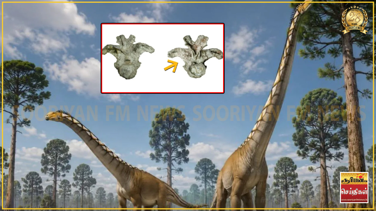தாய்லாந்தில் கண்டறியப்பட்ட புதிய வகை டைனோசர்