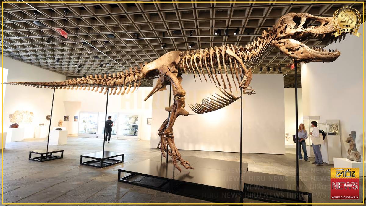 Rare T. rex fossil sells for record $50.1 million at auction