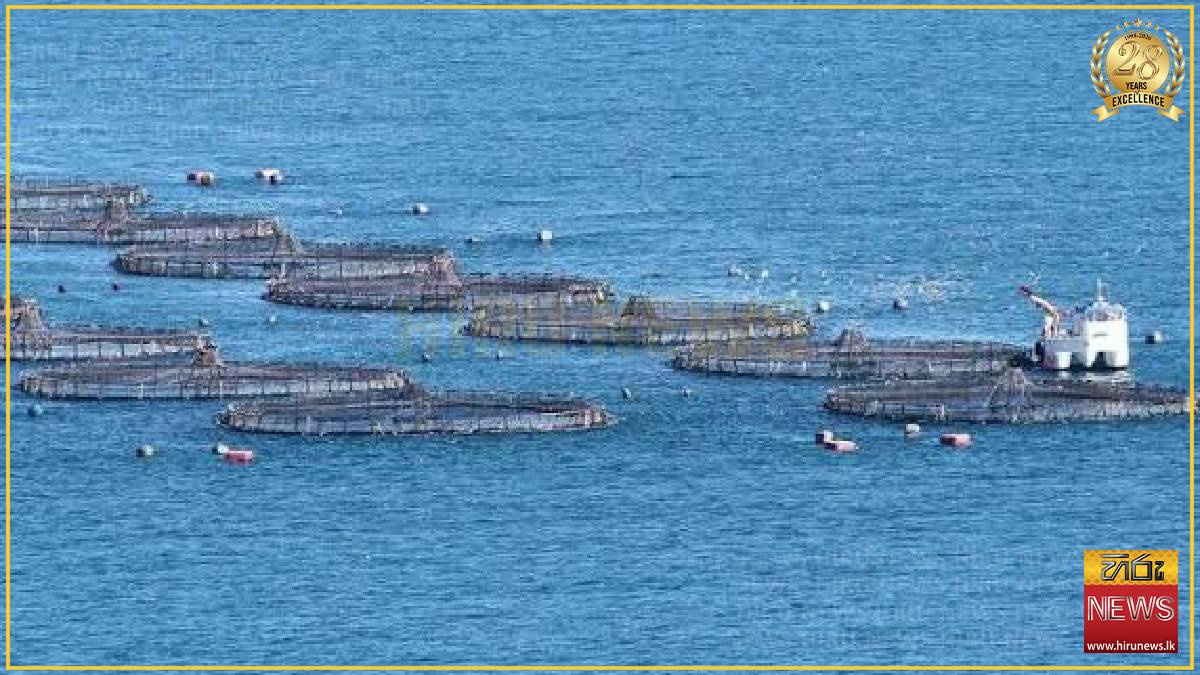 FAO and China launch project to boost sustainable aquaculture
