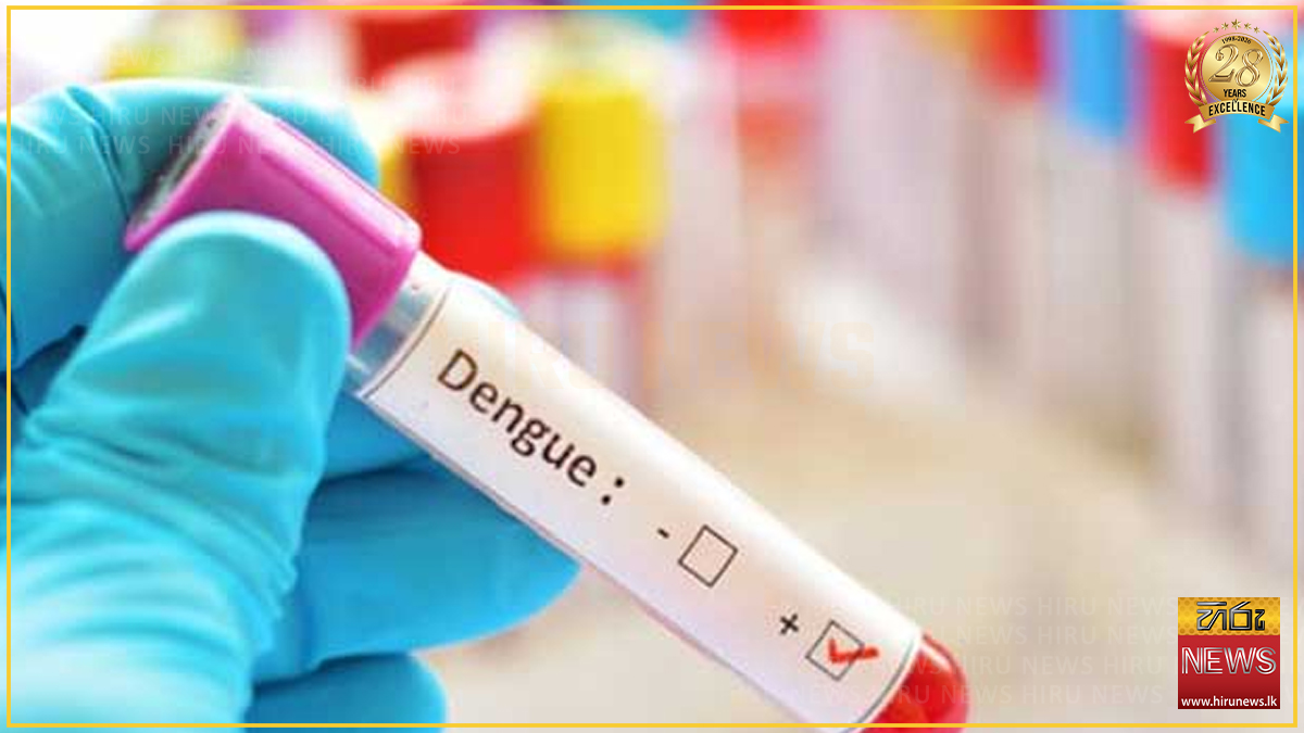 ඩෙංගු රෝගීන්ට යළි උපදෙසක්