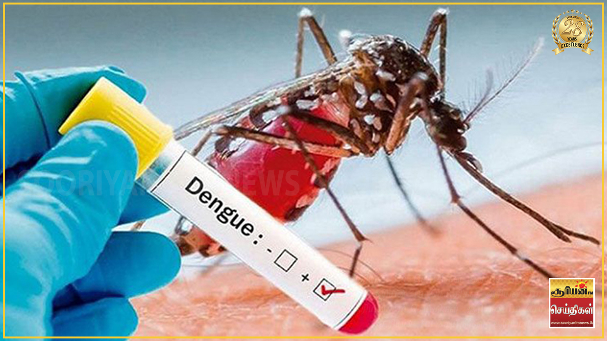 டெங்கு நோயினால் உயிரிழந்தவர்களின் எண்ணிக்கை 50 ஆக அதிகரிப்பு