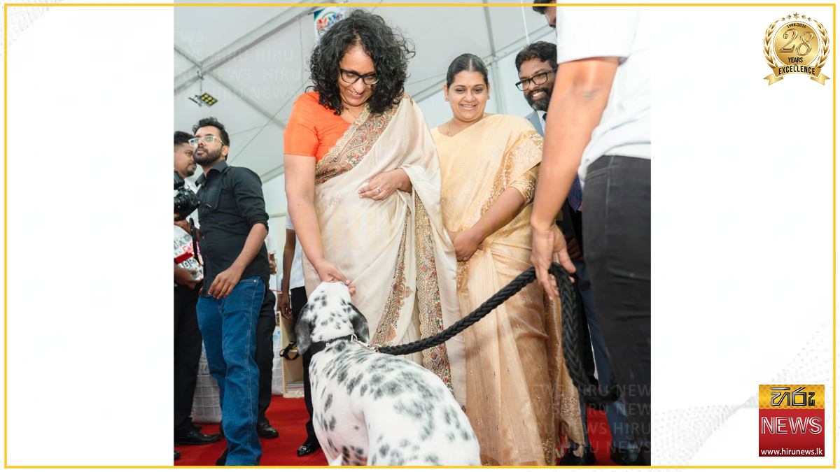 ''වීදි සතුන් කෙරෙහි විශේෂ අවධානයක් යොමු කරන ලෙස ජනතාවගෙන් ඉල්ලනවා'' - අගමැති හරිනි