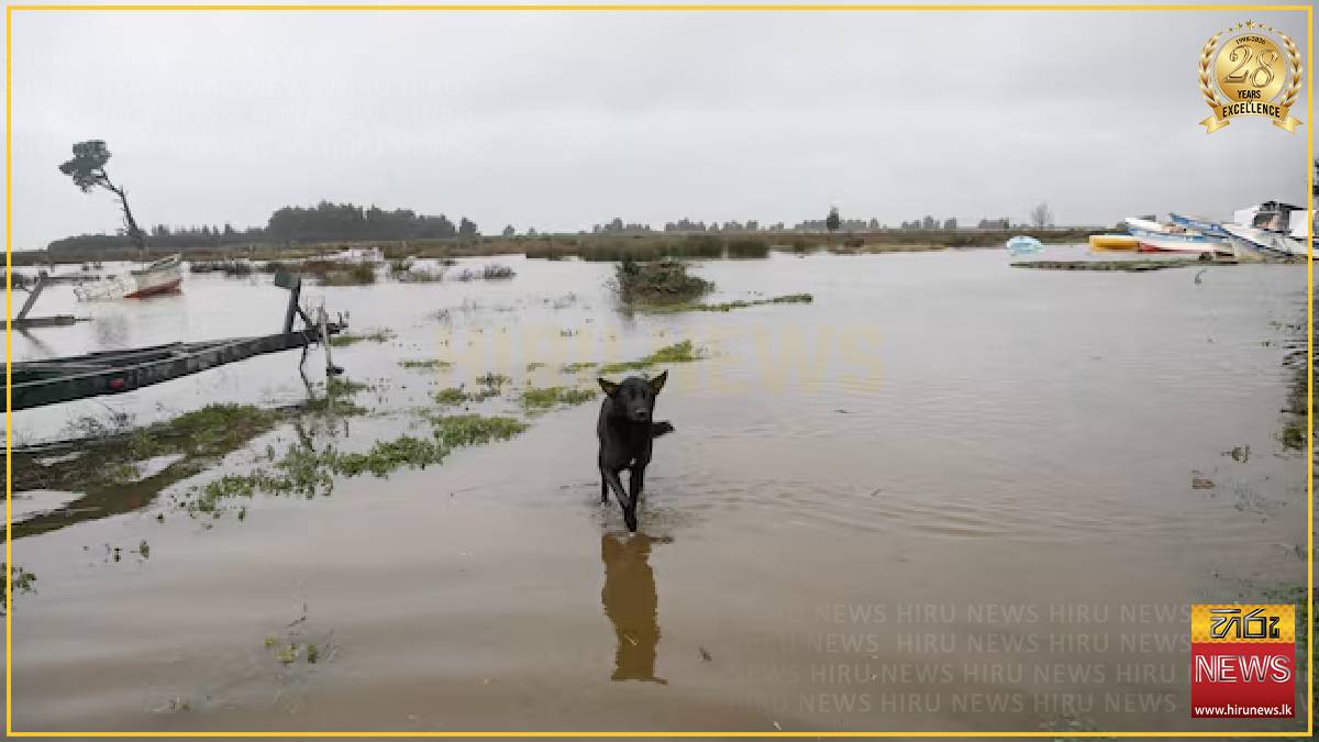 Chile storms kill three, displace hundreds as heaviest rains expected