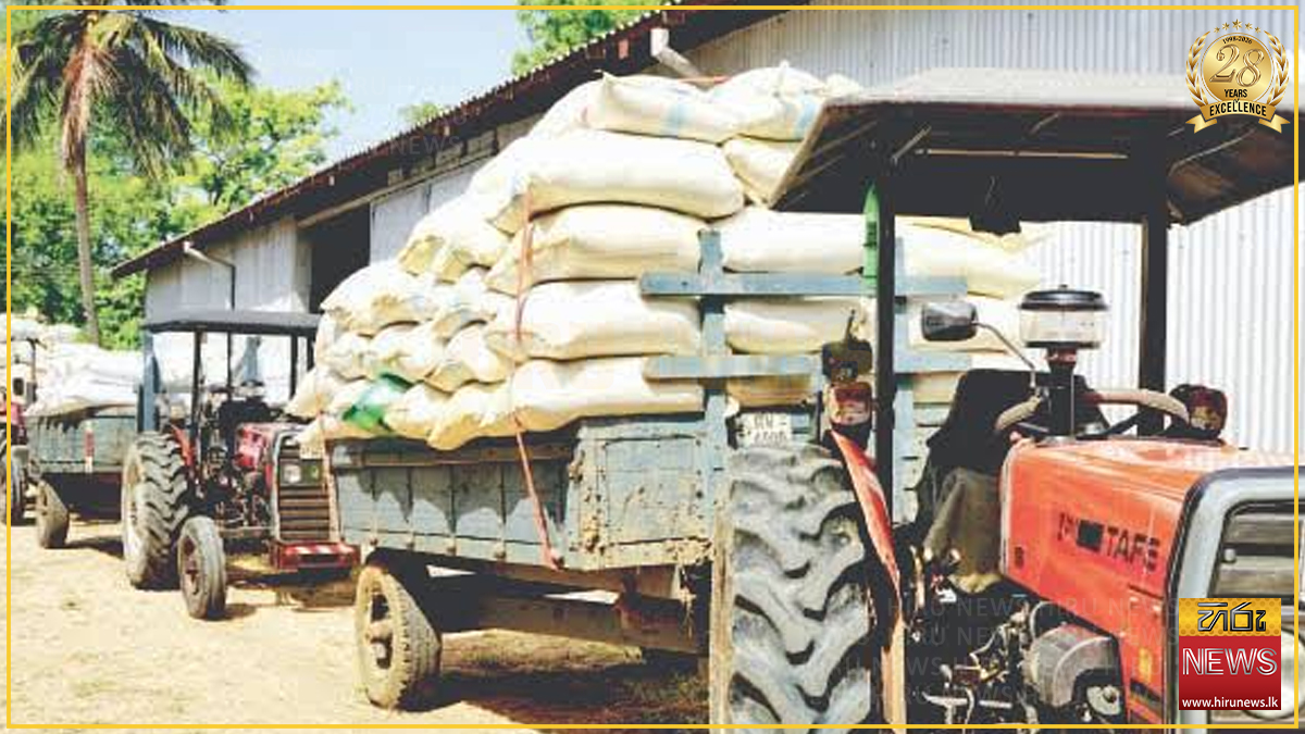 රජයේ ගබඩා 43කින් වී කිලෝ ලක්ෂ 3ක් මිලදී ගෙන අවසන්