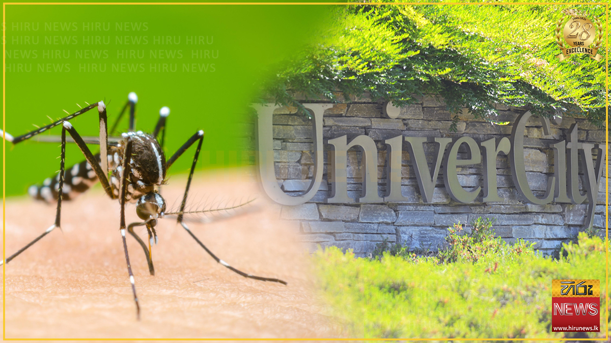 New clinical guidelines introduced to manage dengue in universities