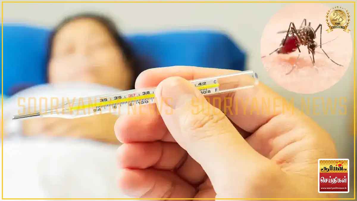 டெங்கு அறிகுறிகள் உள்ளதா? வீட்டிலேயே இருக்க வேண்டாம்: எச்சரிக்கை
