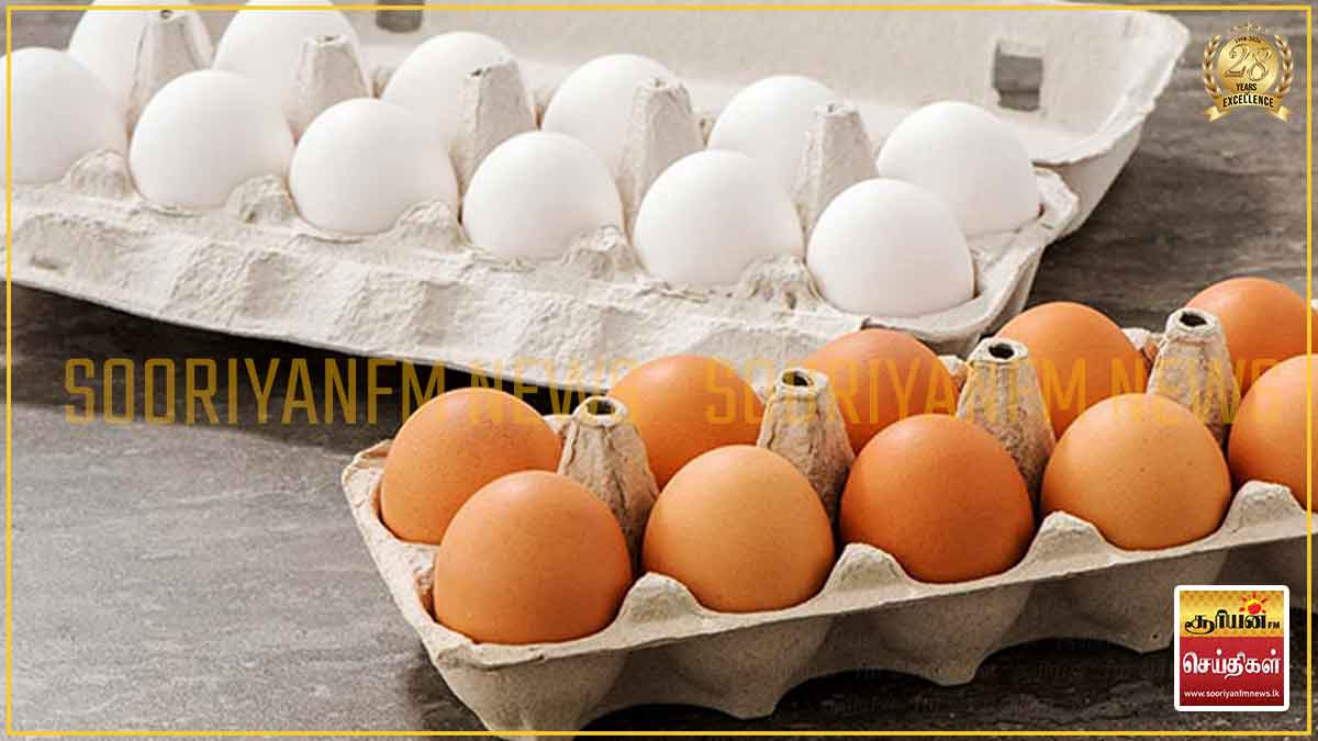 முட்டையின் விலை இன்று முதல் அதிகரிப்பு