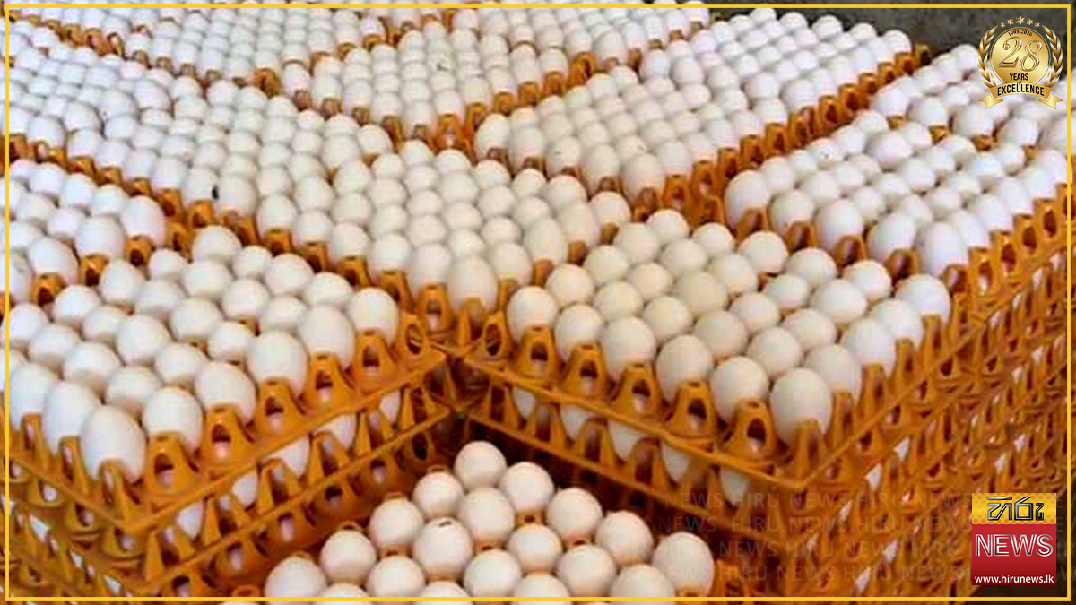 අද සිට ඉහළ යන බිත්තර මිල