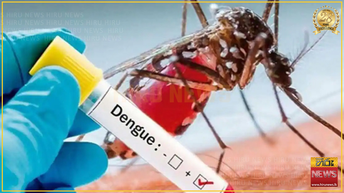 ගතවූ දින 19 තුළ පමණක් වාර්තා වූ ඩෙංගු රෝගීන් ගණන 20,000 ඉක්මවයි