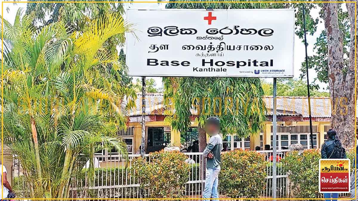 நச்சு விதைகளை உட்கொண்ட  பாடசாலை மாணவர்கள் 22 பேர் மருத்துவமனை அனுமதி 