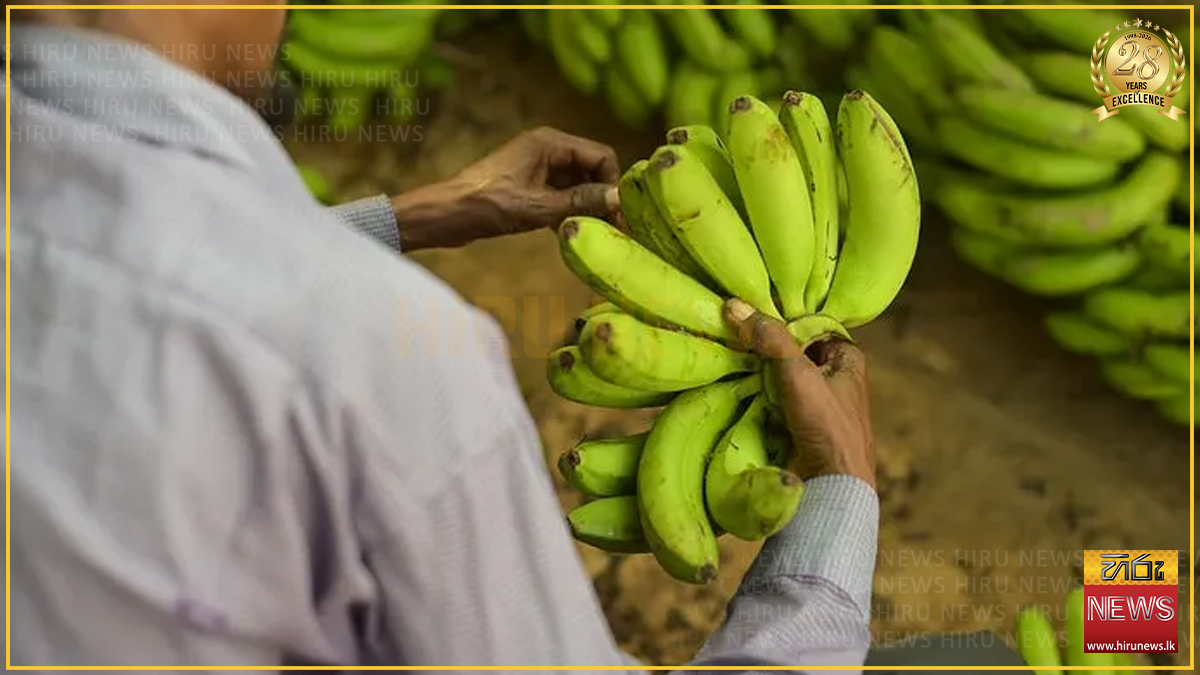 විෂ රසායනික යොදා පළතුරු ඉදවීම නතර කිරීම සම්බන්ධයෙන් නව නීති හඳුන්වාදීමට සැරසෙයි