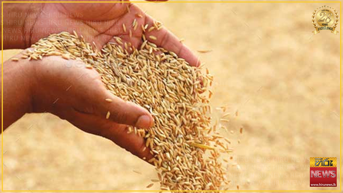 රජය වී මෙට්‍රික් ටොන් 1910ක් මිලදීගෙන