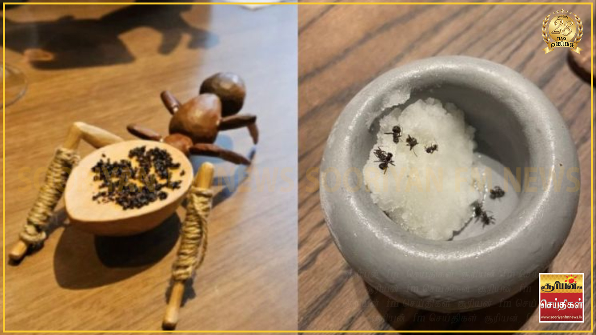 இனிப்புப் பண்டத்தில் எறும்பு அலங்காரம் - பிரபல உணவக உரிமையாளர் மீது  சிறைத்தண்டனை கோரி வழக்கு!