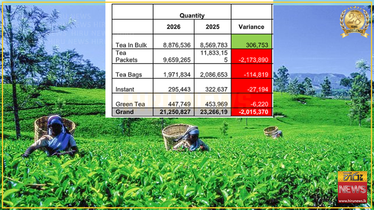 Sri Lanka tea exports decline in first half of 2026 amid lower volumes