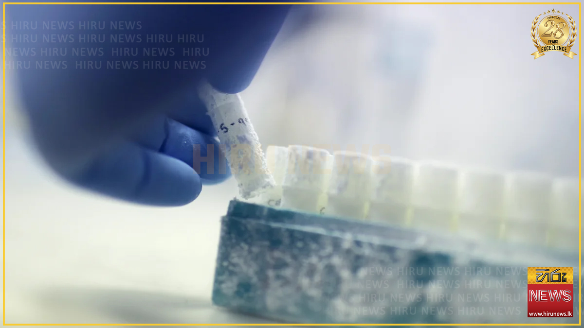 ඕස්ට්‍රේලියාවේ ශුක්‍රාණු දායකයන්ගේ දැඩි හිඟයක්: ඉල්ලුම දෙගුණයකින් ඉහළට