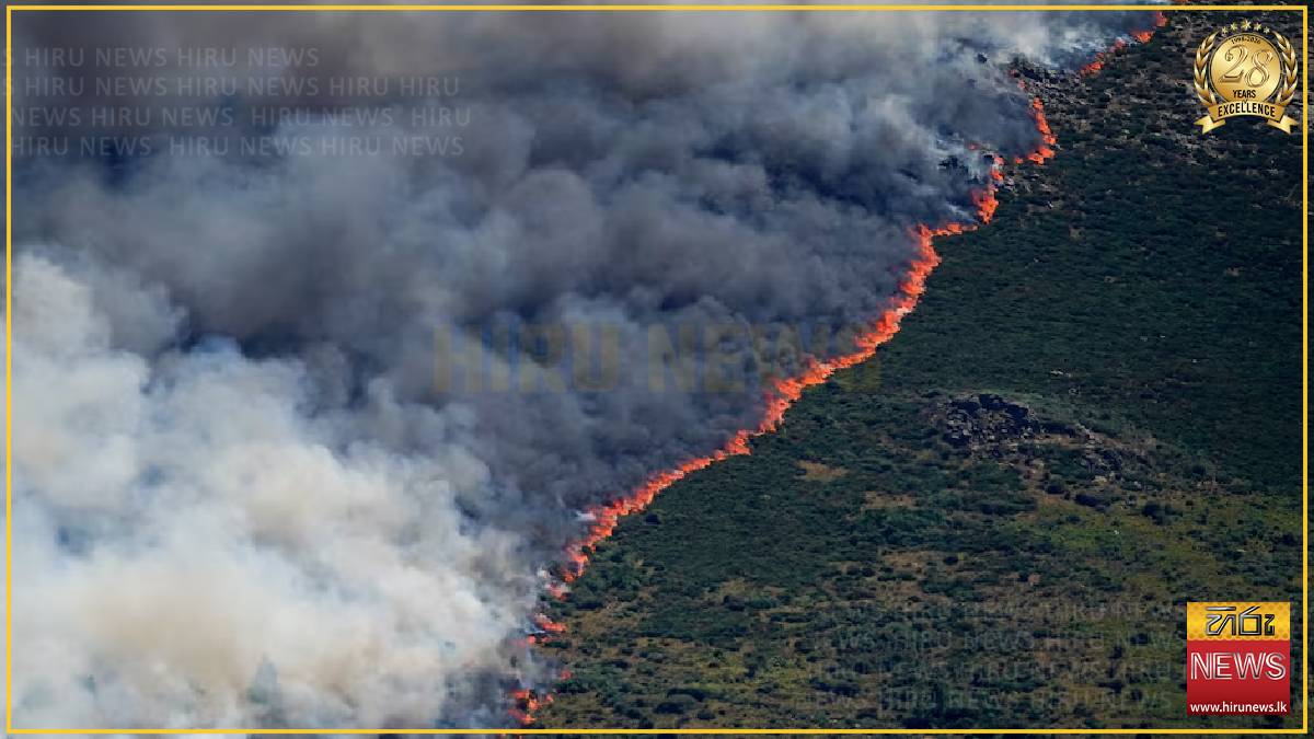 Spain declares national emergency over wildfires near Madrid and in Avila