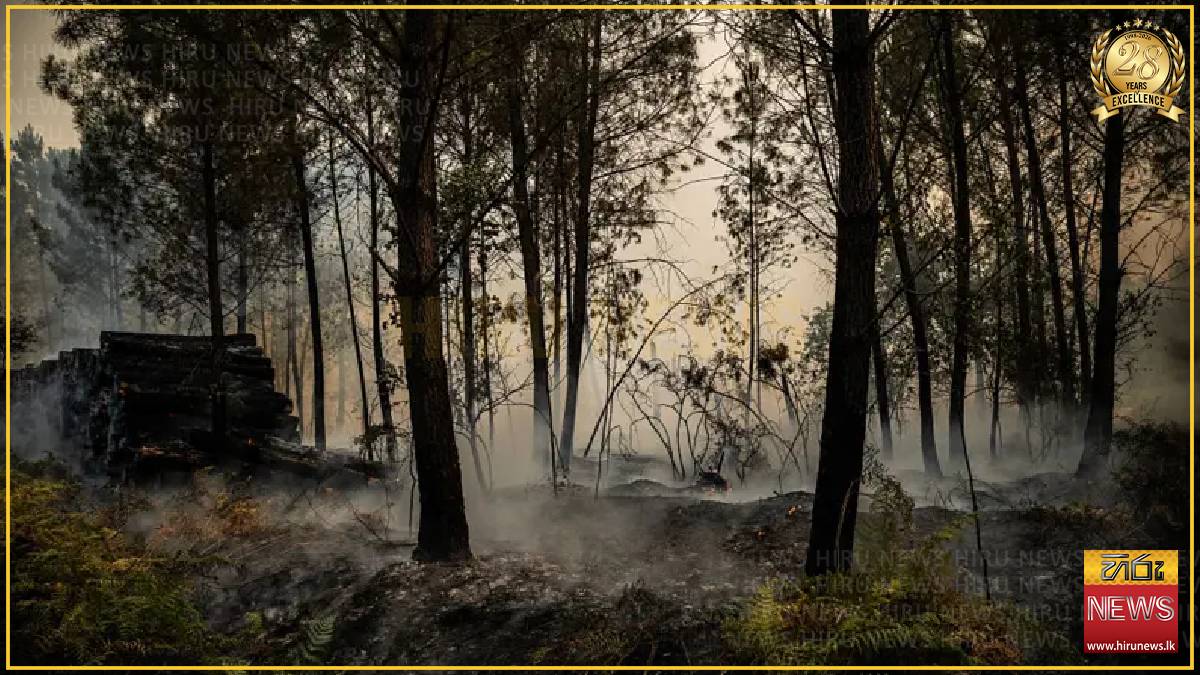 Nearly 31,000 acres destroyed by fires in Gironde region, France