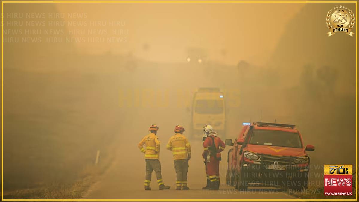 Spain declares national emergency over wildfires