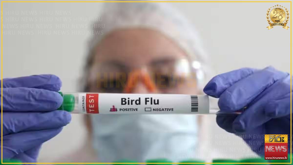 Bird flu spreads to fourth Australian state