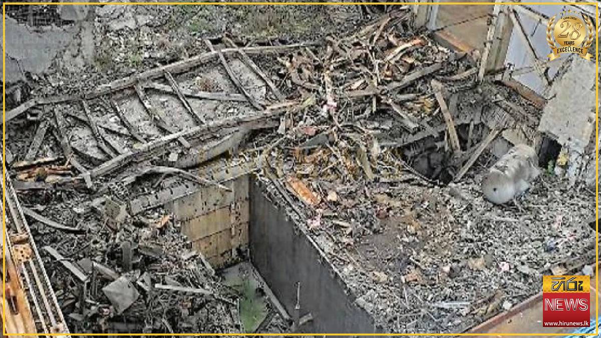 Fukushima nuke plant struggles to clear radioactive waste debris