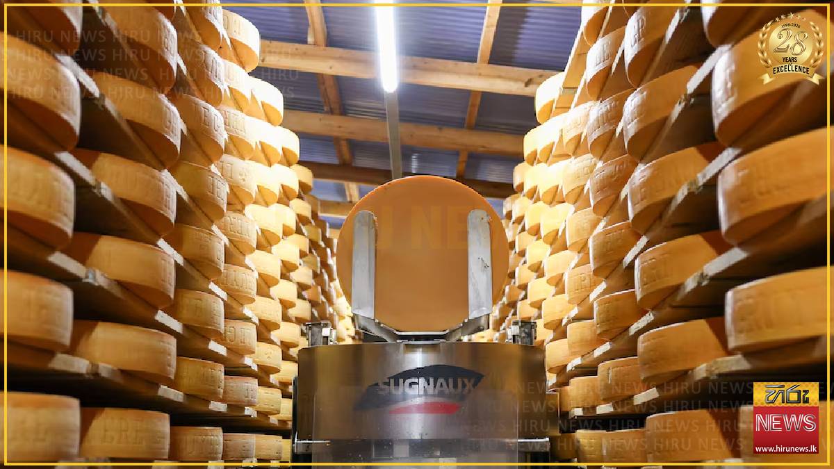 Swiss cheesemakers try to fill hole in sales from US tariffs