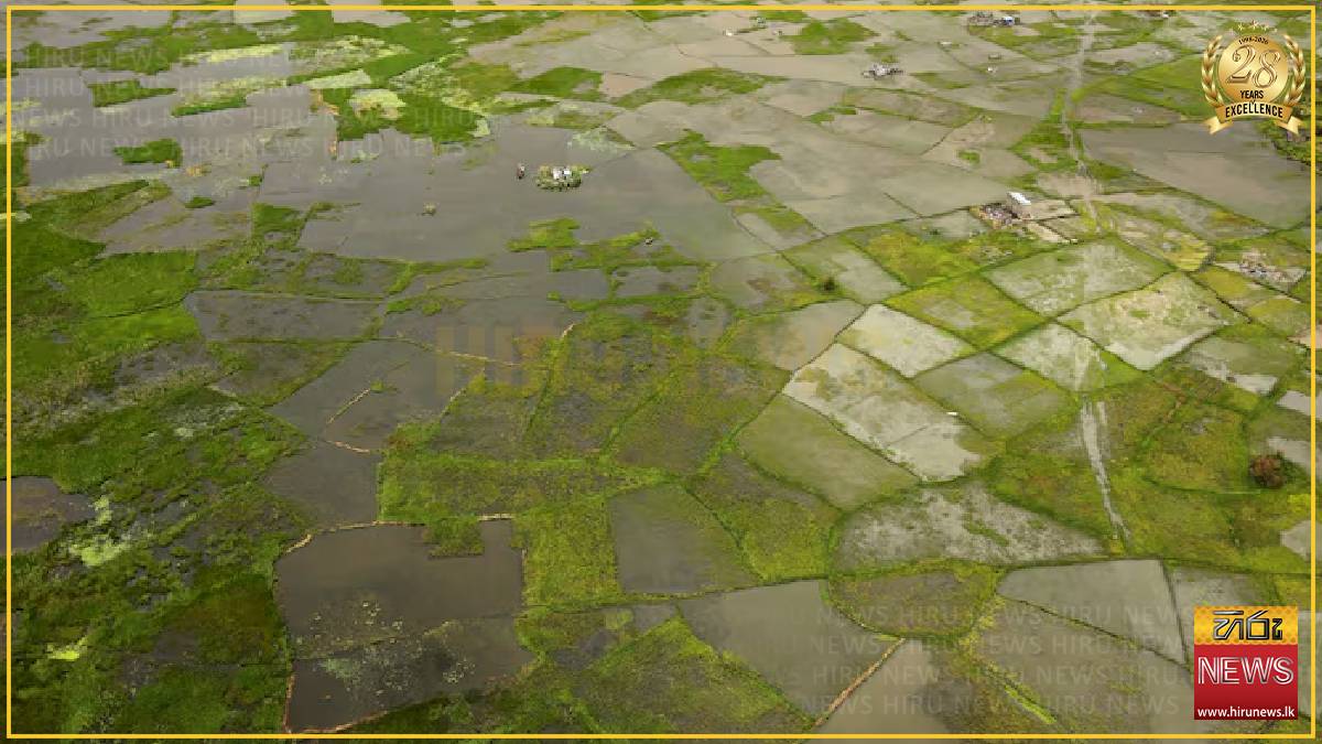Africa facing $10-20 billion economic hit from 'super' El Niño, AfDB climate chief warns