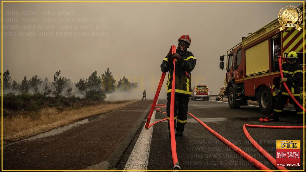 Europe's wet winter could have fueled summer wildfires