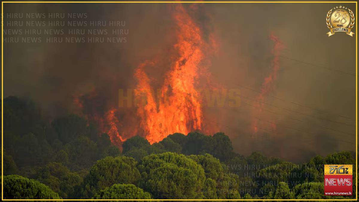 Wildfires rage across France and Spain