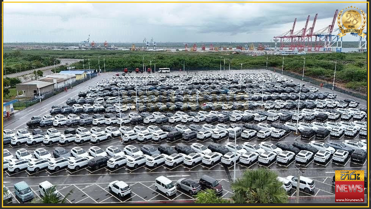 Ports cannot become long-term vehicle storage yards - HIP