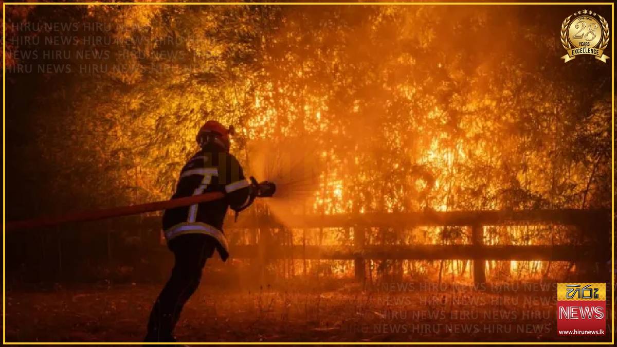 Two firefighters killed battling a wildfire on Greek island of Crete