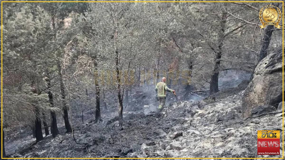 'Apocalyptic' damage as Cairngorms wildfire burns for two weeks