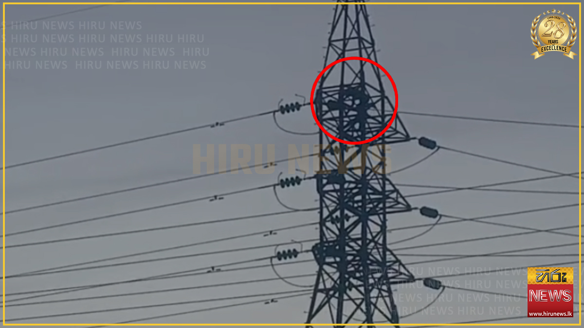 බිරිඳ සමග උරණ වී කඹුරුපිටියේදී අධිබල විදුලි කණුවක් මත නැගි පුද්ගලයාට ලක්ෂ 02ක දඩයක්