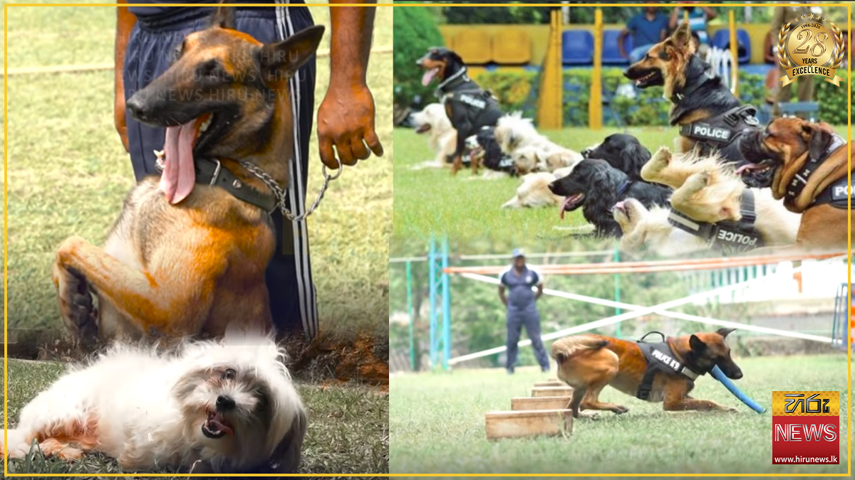 සටන් බිමෙන් සමුගත් වීරයෝ 26ක් හෙට ප්‍රසිද්ධ වෙන්දේසියක!