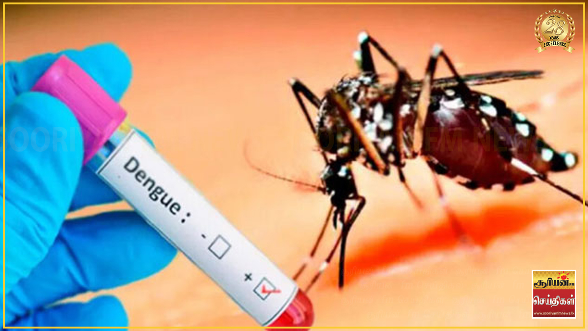 தீவிரமடையும் டெங்கு பரவல் - உயிரிழந்தோரின் எண்ணிக்கை 62 ஆக உயர்வு