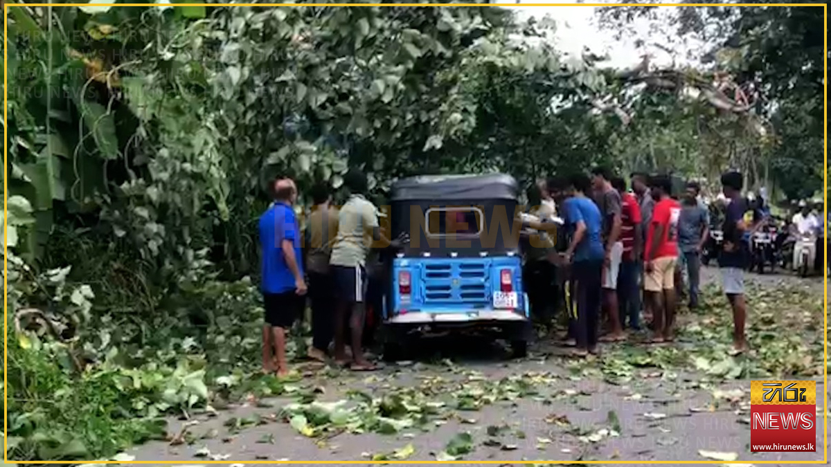 අලව්ව-නාරම්මල පාරේ ත්‍රීරෝද රථයක් මතට ගසක් කඩා වැටෙයි : ගම්මාන කිහිපයක විදුලියත් විසන්ධි වෙයි