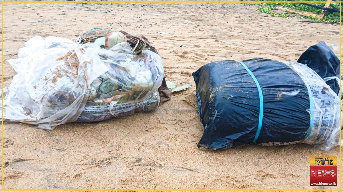 නීතිවිරෝධීව රැගෙන ආ බීඩි කොළ කිලෝ 234ක් නාවික හමුදා භාරයට
