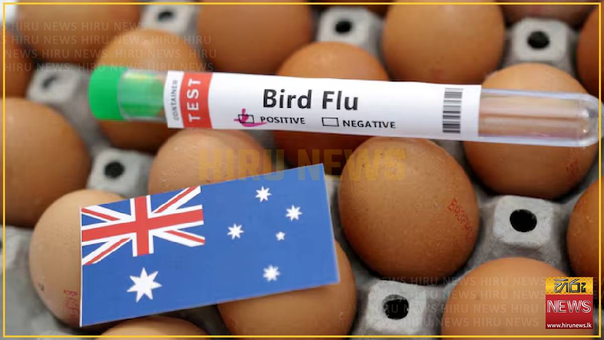 First mass H5 bird flu deaths confirmed in Australian seabirds