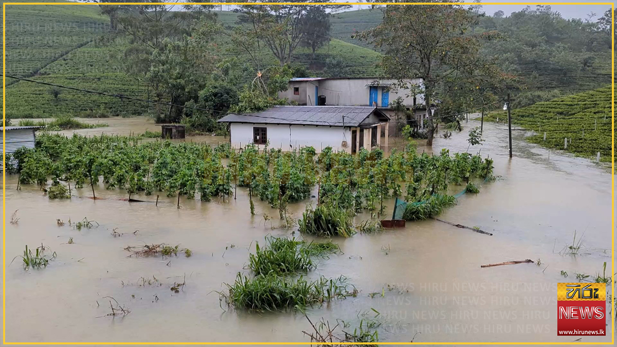 මහා වර්ෂාවෙන් ඩෙවෝන් ඇළ පිටාර ගලයි : නිවාස 40ක් ජලයෙන් යටවෙයි