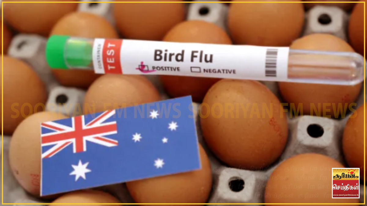 H5N1 பறவைக் காய்ச்சல் தீவிரமடைய வாய்ப்பு