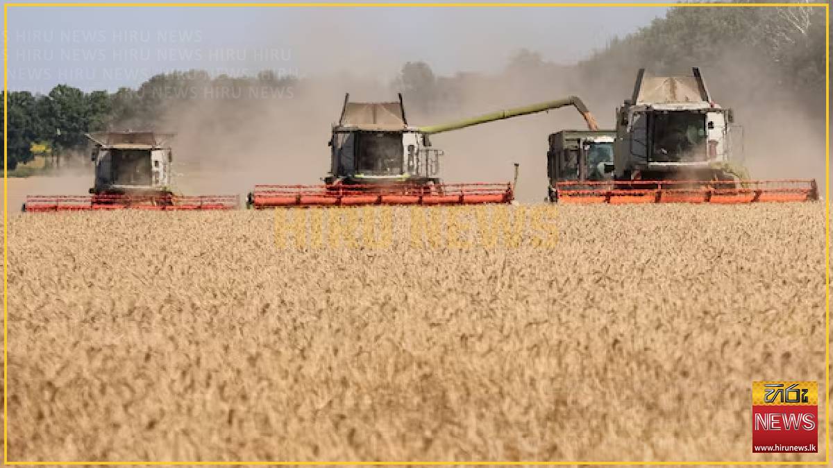 Ukraine turns to alternative grain export routes, counts losses as Russia blocks ports