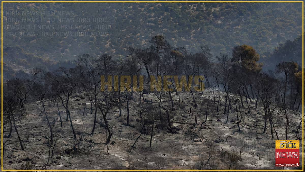 Wildfires ease in Greece as people return to gutted homes